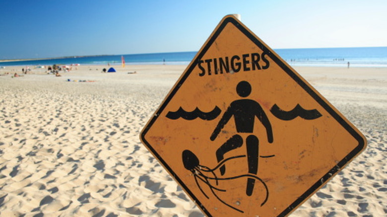 Schild an einem Strand mit Warnung vor der Anwesenheit von